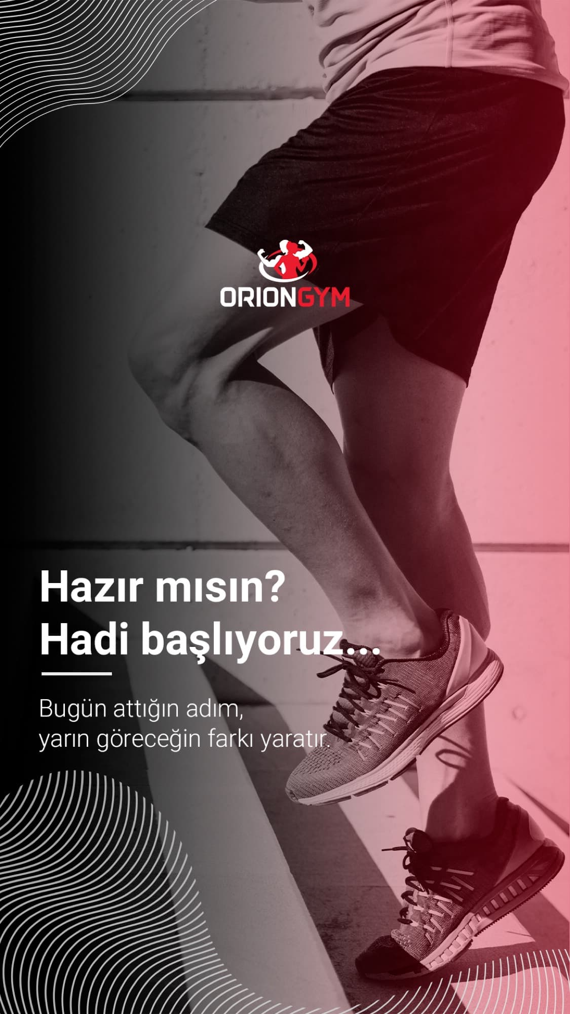 Orion Gym